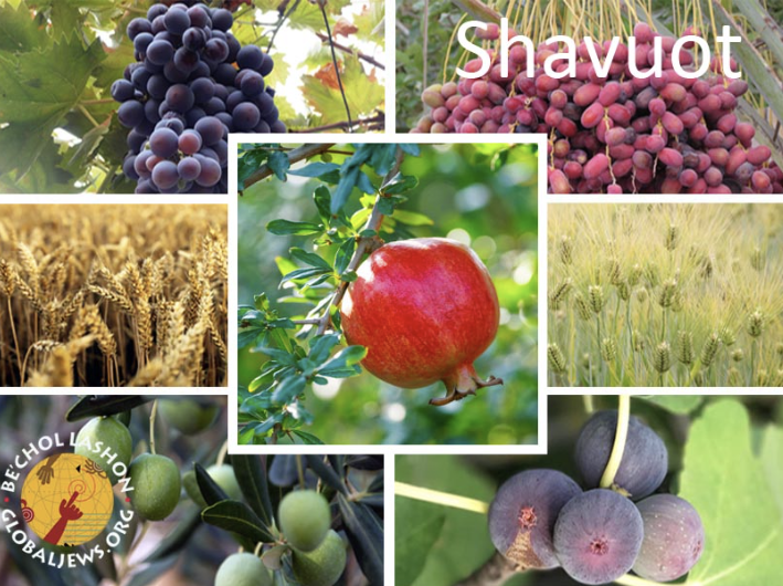 Shavuot Slideshow