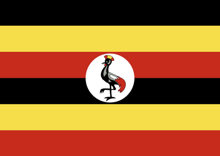 Uganda Activity Worksheet